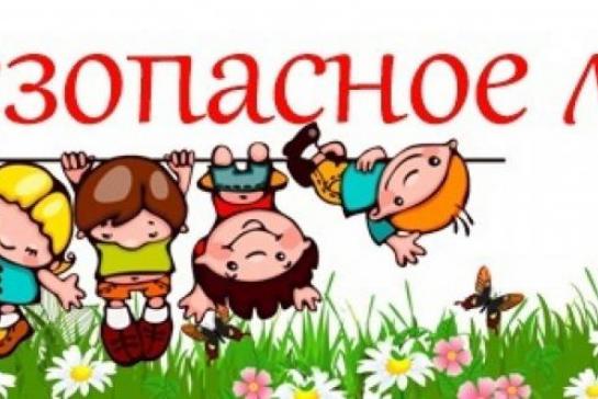 Галерея — Безопасное лето — фото