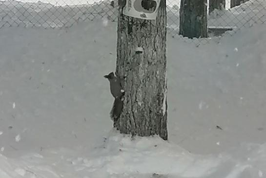Галерея — ГОСТЬЯ НАШЕГО ЦЕНТРА — фото