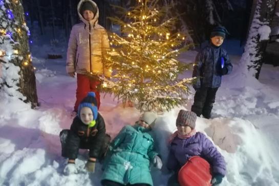 Галерея — Зима - время чудес — фото