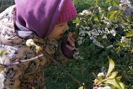Галерея — Весеннее вдохновение — фото