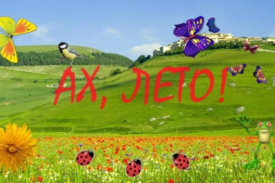 Галерея — Лето–удивительная пора. — фото