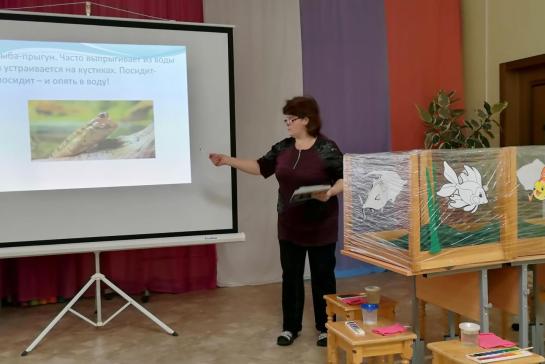 Галерея — Обитатели подводного мира — фото