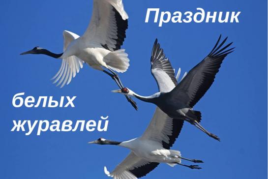 ПРАЗДНИК БЕЛЫХ ЖУРАВЛЕЙ — фото-52_1