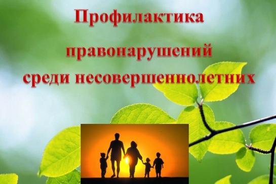 ПРОФИЛАКТИКА ПРАВОНАРУШЕНИЙ — фото-52_1