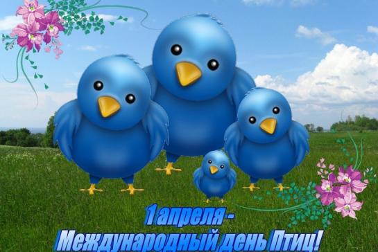 Встречай любовью стаи птичьи... — фото-52_1