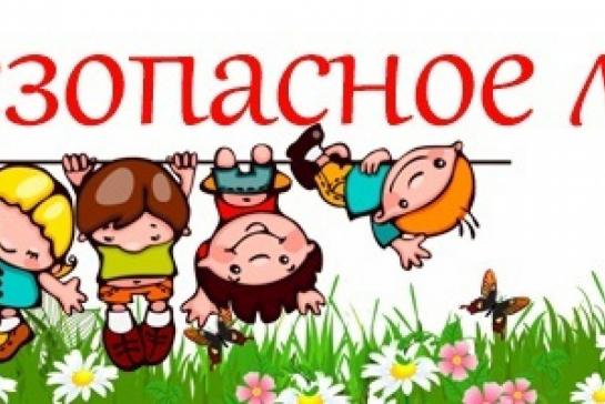 Безопасное лето — фото-52_1