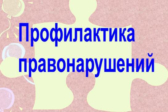 ПРОФИЛАКТИКА ПРАВОНАРУШЕНИЙ — фото-52_1