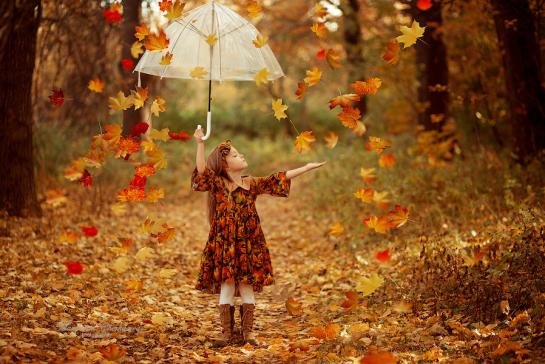 ФЕЙЕРВЕРК ОСЕНИ — фото-52_1