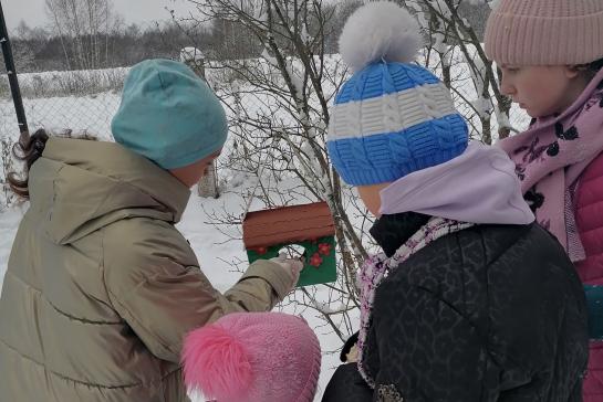 ПОКОРМИТЕ ПТИЦ ЗИМОЙ — фото-52_4