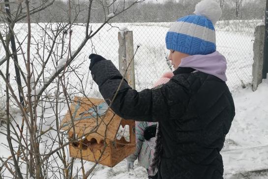 ПОКОРМИТЕ ПТИЦ ЗИМОЙ — фото-52_3