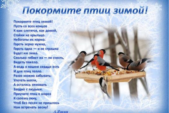 ПОКОРМИТЕ ПТИЦ ЗИМОЙ — фото-52_1