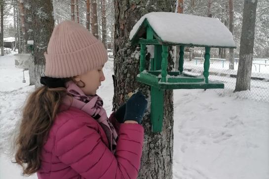 ПОКОРМИТЕ ПТИЦ ЗИМОЙ — фото-52_2