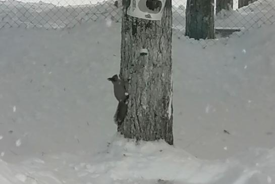 ГОСТЬЯ НАШЕГО ЦЕНТРА — фото-52_1