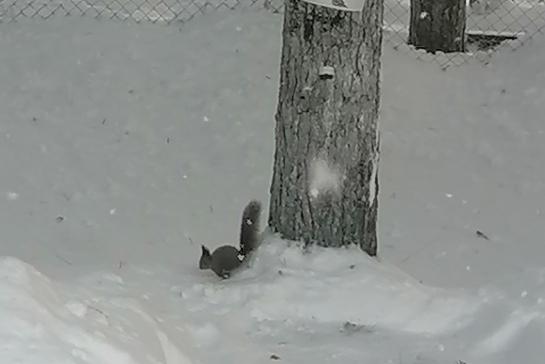 ГОСТЬЯ НАШЕГО ЦЕНТРА — фото-52_2