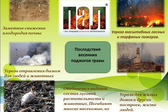 В целях безопасности — фото-52_3