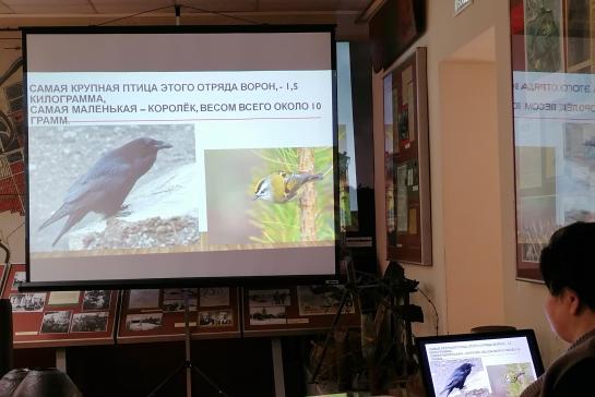 Знакомьтесь, воробей! — фото-52_3