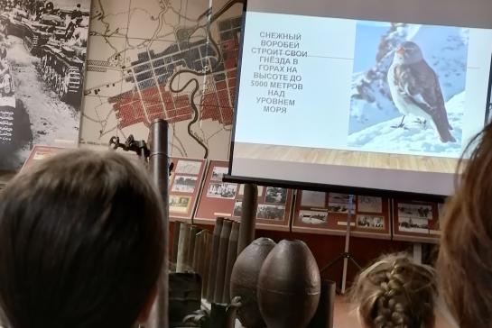 Знакомьтесь, воробей! — фото-52_2