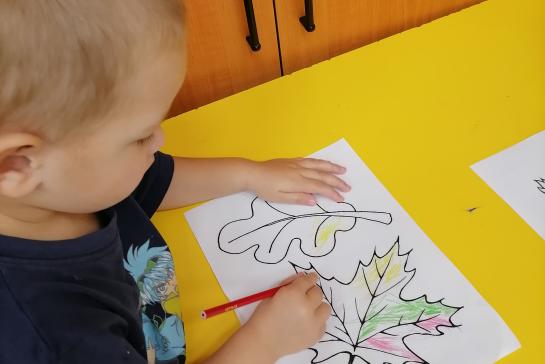 Осенний калейдоскоп — фото-52_1