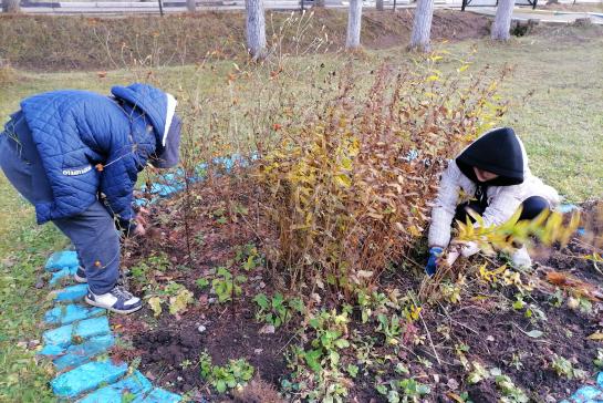 Осенний калейдоскоп — фото-52_6