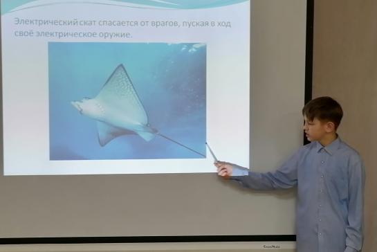 Обитатели подводного мира — фото-52_2