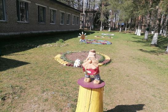 Облагораживание территории центра — фото-52_4