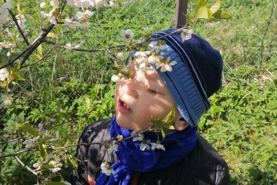 Весеннее вдохновение — фото-52_2