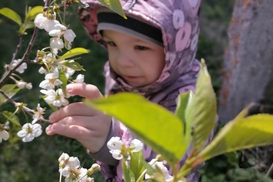 Весеннее вдохновение — фото-52_4