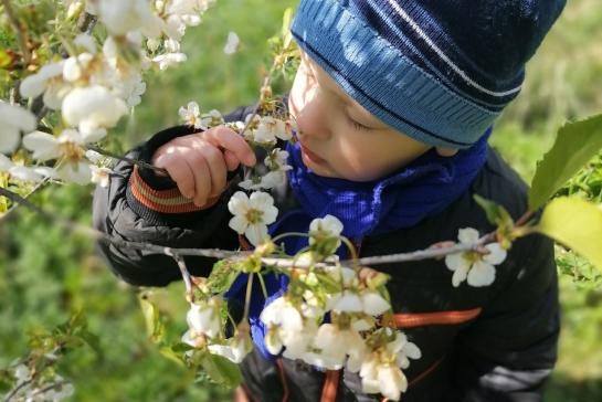 Весеннее вдохновение — фото-52_3