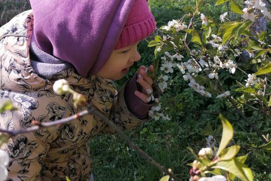 Весеннее вдохновение — фото-52_1