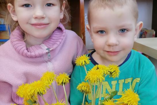 Всемирный день одуванчика — фото-52_4