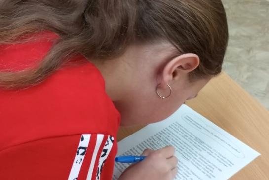 Экологический серпантин — фото-52_5