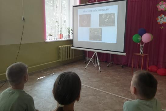 Экологический серпантин — фото-52_7