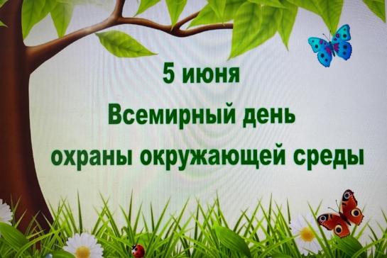 Экологический серпантин — фото-52_1