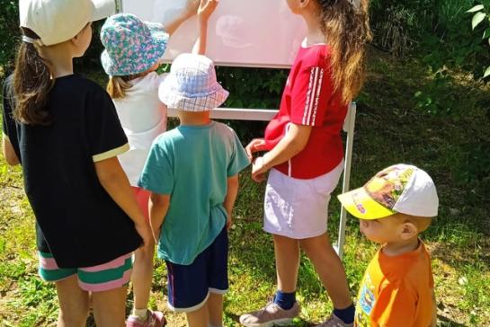 Экологическое путешествие — фото-52_8