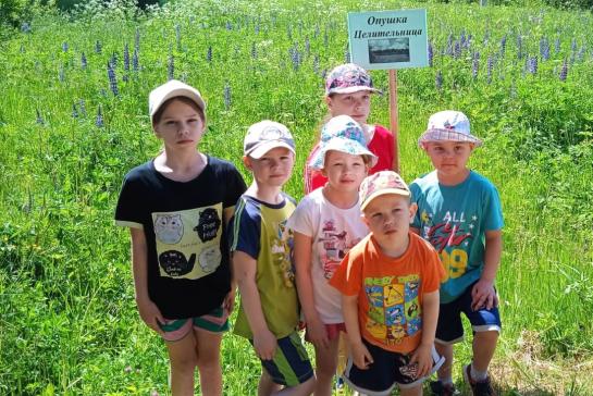 Экологическое путешествие — фото-52_4