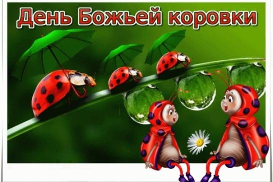 День божьей коровки — фото-52_1