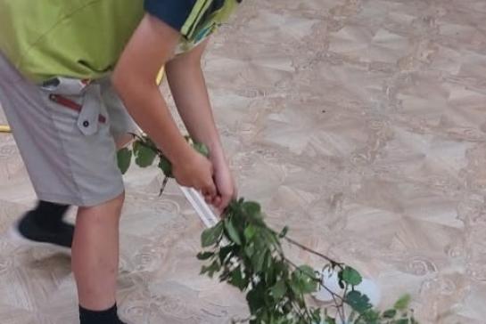 7 июля- праздник Ивана Купалы — фото-52_3