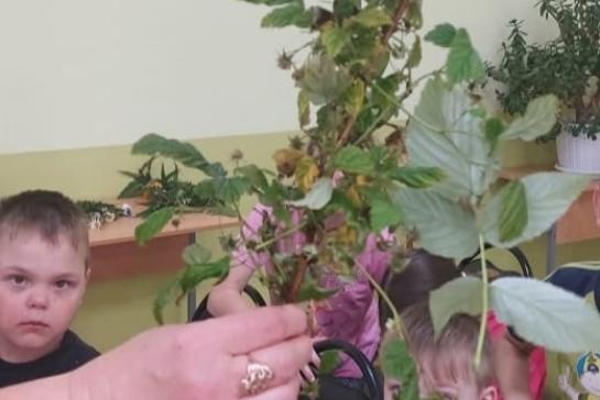 7 июля- праздник Ивана Купалы — фото-52_5