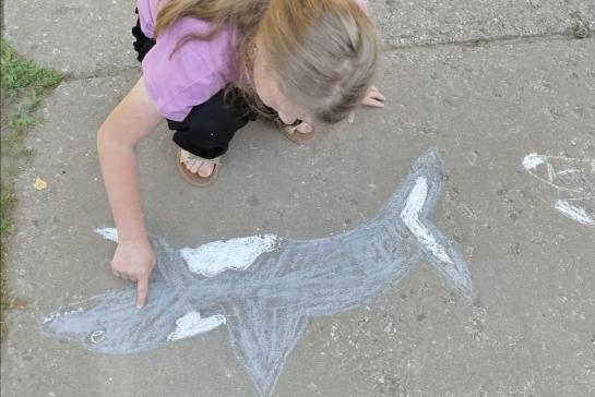 23 июля Всемирный день китов и дельфинов — фото-52_2