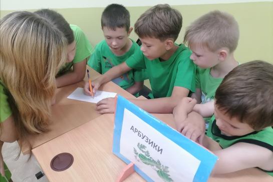 3 августа - Международный день арбуза. — фото-52_2