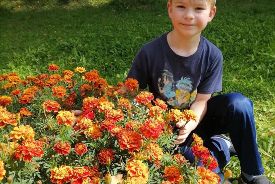 Осенняя клумба цветов — фото-52_3