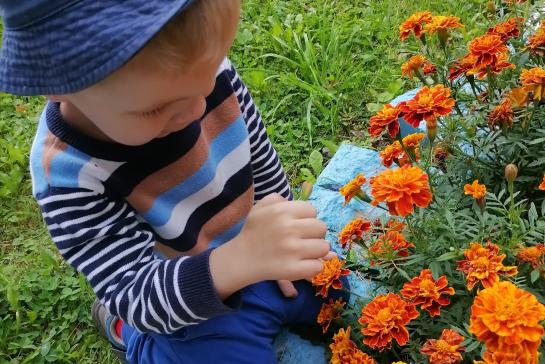 Осенняя клумба цветов — фото-52_2