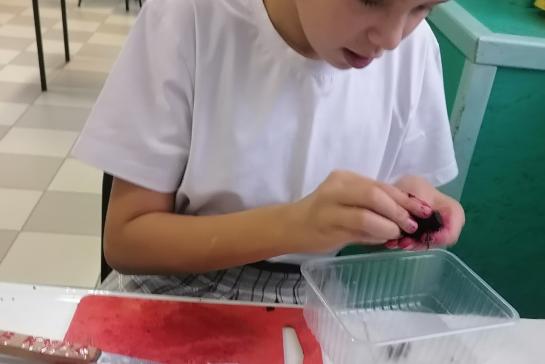 Овощной салат - винегрет — фото-52_5