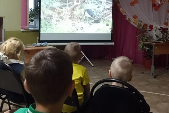 Час экологии "Синичкин день" — фото-52_4