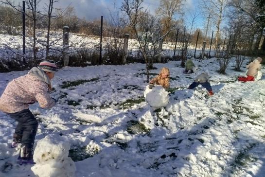 Встреча с первым снегом — фото-52_2