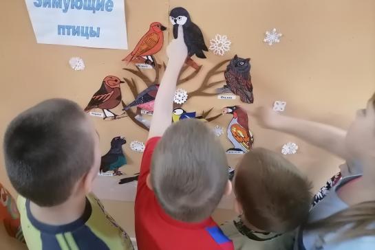 Зимующие птицы — фото-52_7