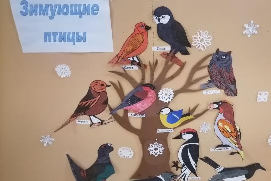 Зимующие птицы — фото-52_6