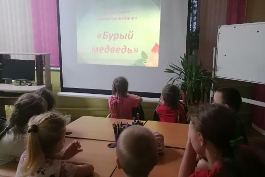 День медведя — фото-52_2