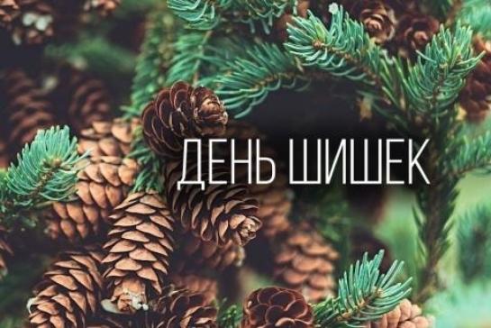 День шишки! — фото-52_1