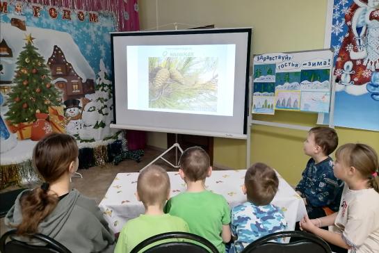 День шишки! — фото-52_2